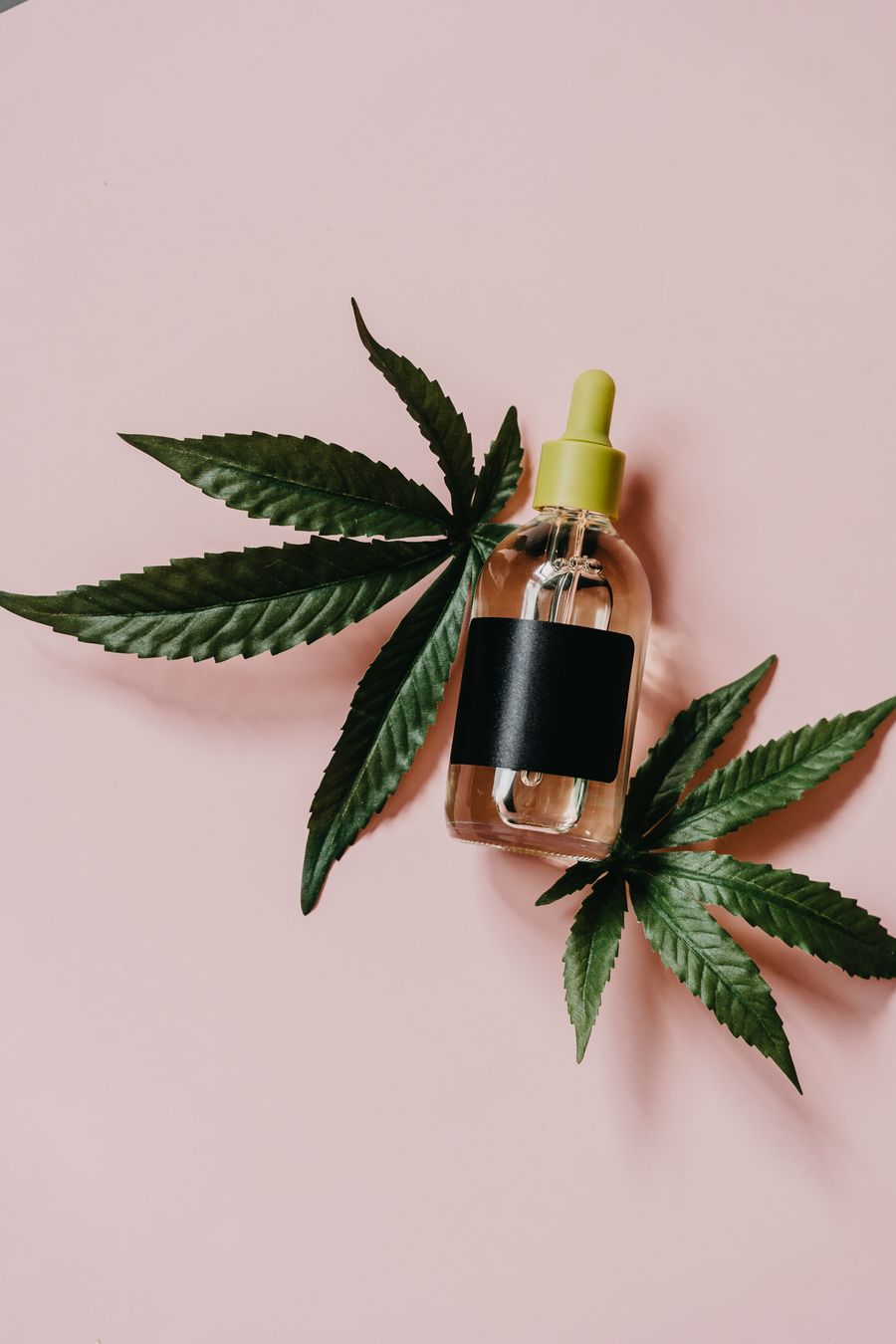 vape bundle